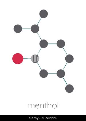 Molécule de menthol. Présent dans la menthe poivrée, les minthes de maïs, etc. Formule squelettique stylisée (structure chimique) : les atomes sont représentés sous forme de cercles de couleur : hydrogène (caché), carbone (gris), oxygène (rouge). Banque D'Images