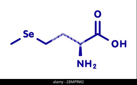 Molécule d'acide aminé sélénométhionine. Le sélénium naturel contenant de la méthionine analogique. Formule topologique. Banque D'Images