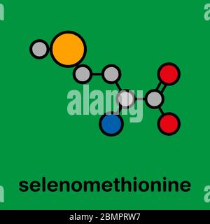 Molécule d'acide aminé de sélénométhionine. Sélénium contenant l'analogue naturel de la méthionine. Formule squelettique stylisée (structure chimique) : les atomes sont représentés par des cercles de couleur : hydrogène (caché), carbone (gris), oxygène (rouge), azote (bleu), sélénium (orange clair). Banque D'Images