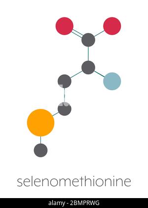 Molécule d'acide aminé de sélénométhionine. Sélénium contenant l'analogue naturel de la méthionine. Formule squelettique stylisée (structure chimique) : les atomes sont représentés par des cercles de couleur : hydrogène (caché), carbone (gris), oxygène (rouge), azote (bleu), sélénium (orange clair). Banque D'Images