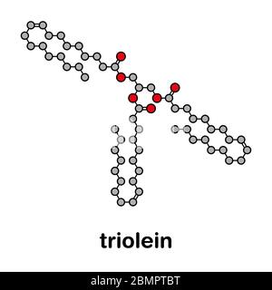 Triglycéride d'huile d'olive. Exemple de triglycéride d'huile d'olive, contenant 3 fractions d'acide oléique (trioléate de glycéryle). Formule squelettique stylisée (structure chimique) : les atomes sont représentés par des cercles de couleur : hydrogène (caché), carbone (gris). Banque D'Images