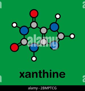 Molécule de base de la xanthine purine. Formule squelettique stylisée (structure chimique) : les atomes sont représentés par des cercles de couleur : hydrogène (blanc), carbone (gris), azote (bleu), oxygène (rouge). Banque D'Images