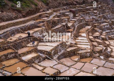 Mines de sel de Maras dans la Vallée Sacrée des Incas, région de Cusco, Pérou, Amérique du Sud. Banque D'Images