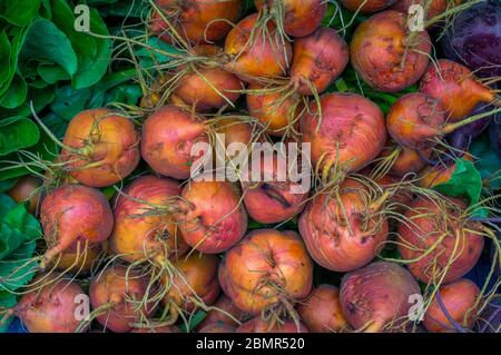Arrière-plan de texture des betteraves. Gros plan de betteraves fraîches et légumes Banque D'Images