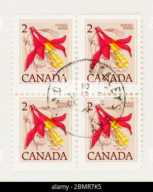 SEATTLE WASHINGTON - 10 mai 2020 : Western columbine fleurit sur 2 cent Canadian Floral Numéro définitif de 1978. Scott # 782b Banque D'Images