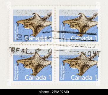 SEATTLE WASHINGTON - 10 mai 2020 : écureuil volant du Nord, Glaucomys sabrinus, on timbre Canada 1 cent de 1988. Scott # 1155 Banque D'Images