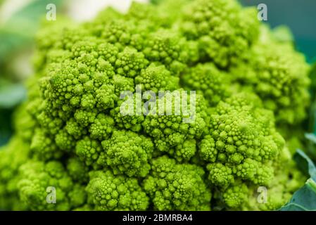 Macro photo alimentaire de brocoli romanesco biologique au marché des agriculteurs. Banque D'Images