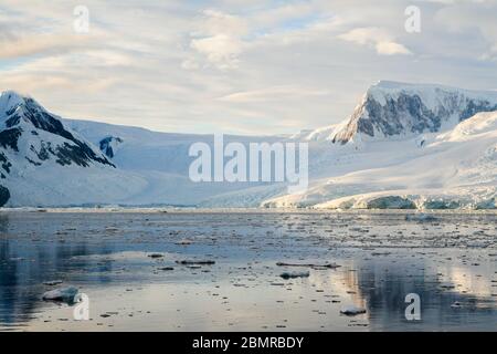 Matin immaculé, frais et calme à Icy Neko Harbour, Antarctique Banque D'Images