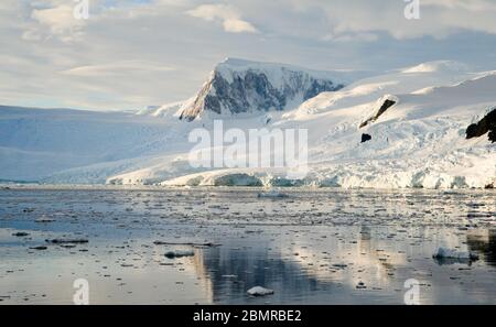 Matin immaculé, frais et calme à Icy Neko Harbour, Antarctique Banque D'Images