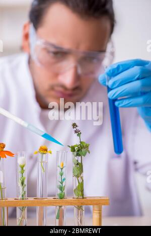 Jeune chimiste dans le laboratoire Banque D'Images