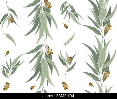 Motif sans coutures eucalyptus. L'eucalyptus laisse un fond et un motif sans couture Illustration de Vecteur