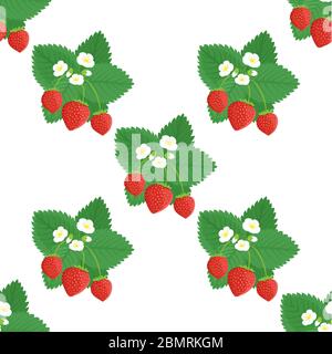Fraise aux baies rouges et fleurs blanches motif vectoriel sans couture, arrière-plan Illustration de Vecteur