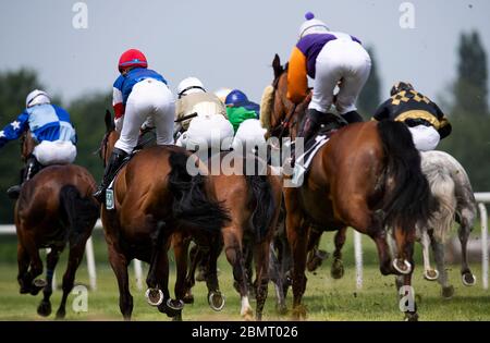 Feature, foule, champ en action, photographié de l'arrière, course 4ème prix de Heissen, catégorie F, course hippique, journée de course à l'hippodrome Raffelberg, le 9 mai 2020 à Muelheim an der Ruhr/Allemagne. Â | utilisation dans le monde entier Banque D'Images