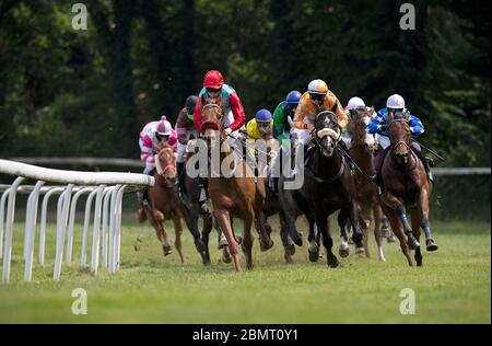 Feature, foule, champ d'action, course 4ème prix de Heissen, catégorie F, course hippique, jour de course à l'hippodrome de Raffelberg, le 9 mai 2020 à Muelheim an der Ruhr/Allemagne. Â | utilisation dans le monde entier Banque D'Images