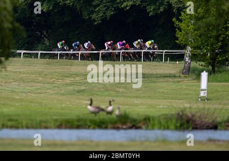 Circuit, foule, champ d'action, canards devant une course de chevaux de lac, journée de course à l'hippodrome de Raffelberg, le 9 mai 2020 à Muelheim an der Ruhr/Allemagne. Â | utilisation dans le monde entier Banque D'Images