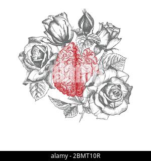 Cerveau avec bouquet de roses icône réaliste dessinée à la main d'organe interne humain et cadre floral. Gravure art. Style d'esquisse. Concept de conception pour le médical Illustration de Vecteur