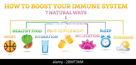 Comment stimuler votre système immunitaire. Éléments infographiques. Illustration vectorielle. Habitudes saines contre les maladies et les virus de la Respiratoty. Illustration de Vecteur
