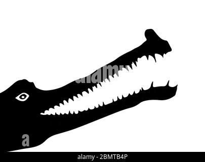 Silhouette de crocodile sur fond blanc Banque D'Images