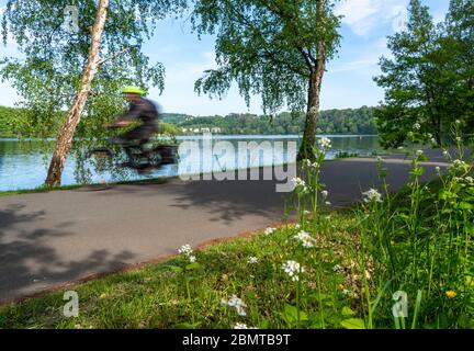 Vélo sur la Ruhr, chemin au bord du lac Baldeney à Essen, NRW, Allemagne Banque D'Images