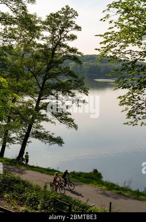 Vélo sur la Ruhr, chemin au bord du lac Baldeney à Essen, NRW, Allemagne Banque D'Images