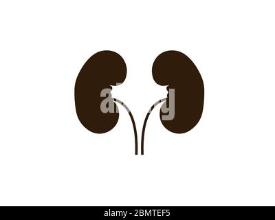 Reins, médical, icône d'organe. Illustration vectorielle, conception plate. Illustration de Vecteur