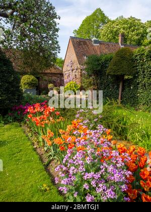 Pommier et salon de thé Brambley au jardin du Chenies Manor, avec des tulipes orange vif et une honnêteté mauve le long du chemin de l'herbe du jardin en contrebas en avril. Banque D'Images