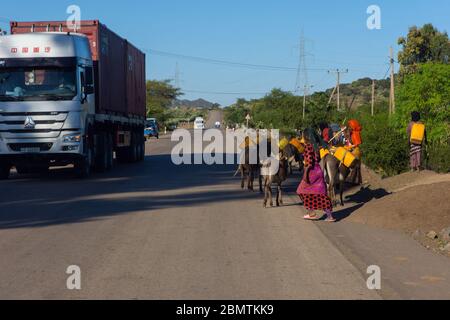 Mekele, Ethiopie - novembre 2018: Transport de l'eau par des ânes sur la route de l'Ethiopie Banque D'Images