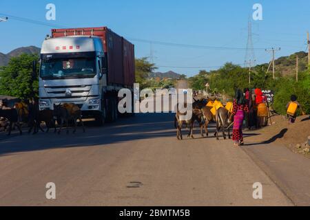 Mekele, Ethiopie - novembre 2018: Transport de l'eau par des ânes sur la route de l'Ethiopie Banque D'Images