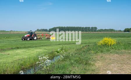 tracteur avec spatule d'herbe et fleurs de printemps jaunes dans un pré vert sous ciel bleu en hollande Banque D'Images