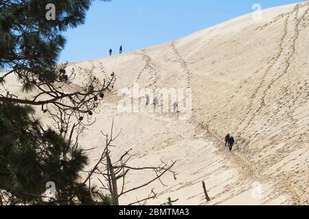 Pyla-sur-Mer, Landes/France; 27 mars 2016. La dune de Pilat est la plus haute dune de sable d'Europe. Il est situé à la teste-de-Buch, dans l'Arcachon Ba Banque D'Images