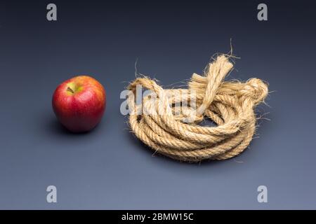 La pomme est un fruit qui est mangé cru ou cuit comme un ingrédient dans divers types de plats, idéal pour manger au petit déjeuner et comme un dessert aux repas, Banque D'Images