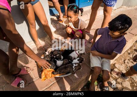 Enfants jouant avec des chiots devant la maison dans la rue, Trinidad, Cuba Banque D'Images