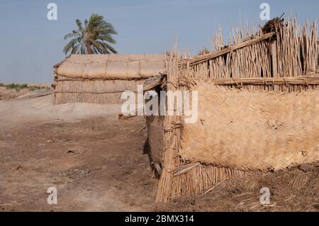 Bâtiments traditionnels fabriqués à partir de roseaux séchés, dans les marais du sud de l'Irak Banque D'Images