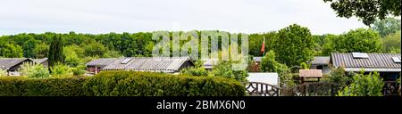 vue dans un jardin de l'allotissement, haies gauche et droite, toit de petites maisons, printemps Banque D'Images