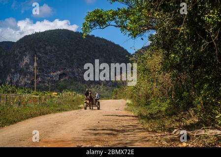 Chariot à cheval sur la route de terre rouge dans la vallée de Vinales, connue pour ses formations de falaises de calcaire uniques appelées mogotes. Cuba Banque D'Images