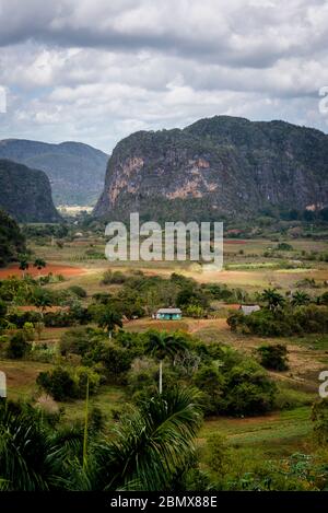 Vallée de Vinales, connue pour ses formations de montagne géomorphologiques en calcaire uniques appelées mogotes. Cuba Banque D'Images