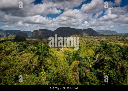 Vallée de Vinales, connue pour ses formations de montagne géomorphologiques en calcaire uniques appelées mogotes. Cuba Banque D'Images