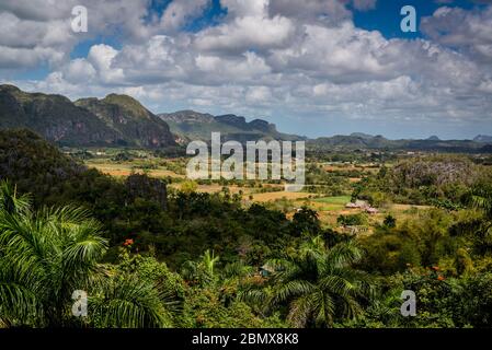 Vallée de Vinales, connue pour ses formations de montagne géomorphologiques en calcaire uniques appelées mogotes. Cuba Banque D'Images