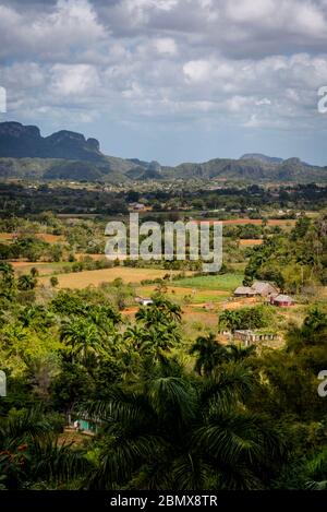 Vallée de Vinales, connue pour ses formations de montagne géomorphologiques en calcaire uniques appelées mogotes. Cuba Banque D'Images