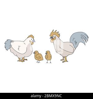 Mignon ferme française poulet famille vecteur clipart. Volaille de style rustique dessinée à la main. Illustration de style campagnard de poulet, de poussin et de coq Illustration de Vecteur