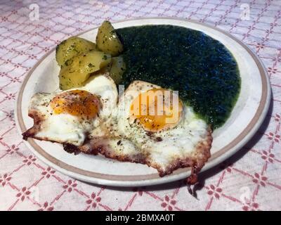 Œufs frits croustillants avec pommes de terre bouillies et épinards crémeux. Banque D'Images