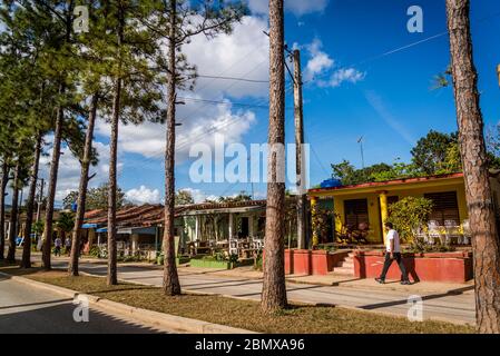 Jolies maisons colorées le long de la route principale bordée d'arbres, Vinales, Cuba Banque D'Images