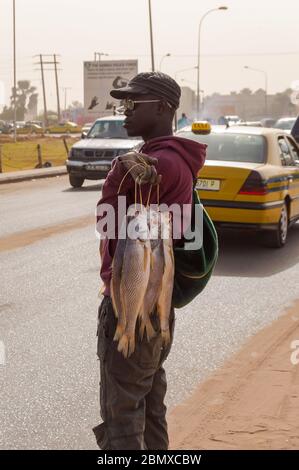 Bijilo, Gambie, janvier 2020; Jeune vendeur de poisson frais dans la rue sur une route de Bijilo en Gambie, Afrique de l'Ouest Banque D'Images