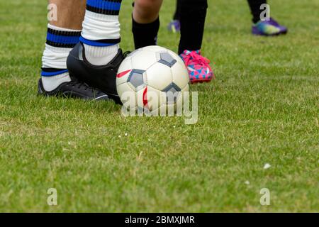Gros plan d'une balle de football et des pieds de joueurs sur un terrain vert Banque D'Images