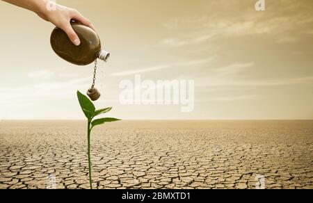 Un homme verse de l'eau dans une fiole sur une plante dans le désert. Sécheresse et pénurie d'eau causées par le réchauffement climatique Banque D'Images