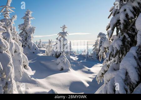 Winterlandschaft Banque D'Images