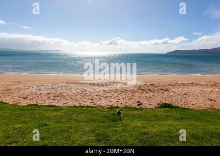 Plage de Cable Bay, Nouvelle-Zélande Banque D'Images