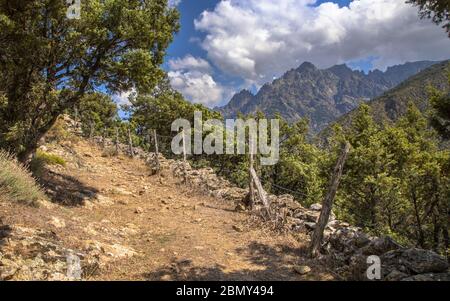 Sentier pédestre dans les gorges de l'Aso avec vue sur la montagne de Cinto en Haute Corse sur l'île Corse, France Banque D'Images