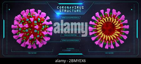 Structure du coronavirus (coupe transversale). Rendu 3D à l'intérieur et à l'extérieur. Nouvelle modélisation 3D de la vue microscopique du coronavirus(2019-nCoV). Banque D'Images