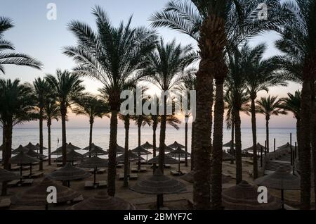 Plage vide sans personnes avec des palmiers et des parasols sur la toile de fond de la mer Rouge en Egypte Charm El Sheikh au lever du soleil Banque D'Images